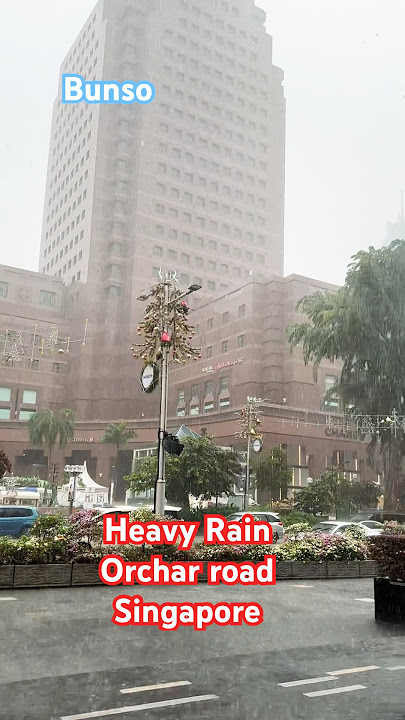 #rain #orchard #singapore #trending #viralvideo