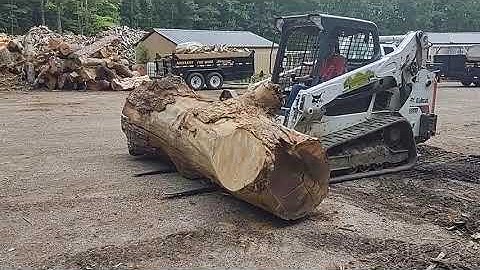 2020John Deere 317g vrs 2018bobcat T595