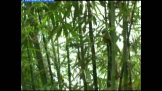 QS VND2TNU0CC0NGUO1NDLD 02 clip4