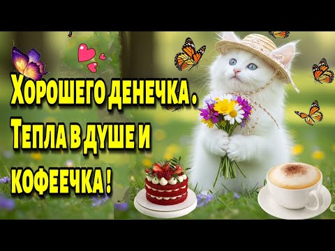 С ДОБРЫМ УТРОМ!☕ЧУДЕСНОГО ДНЯ! Красивая музыкальная открытка 5