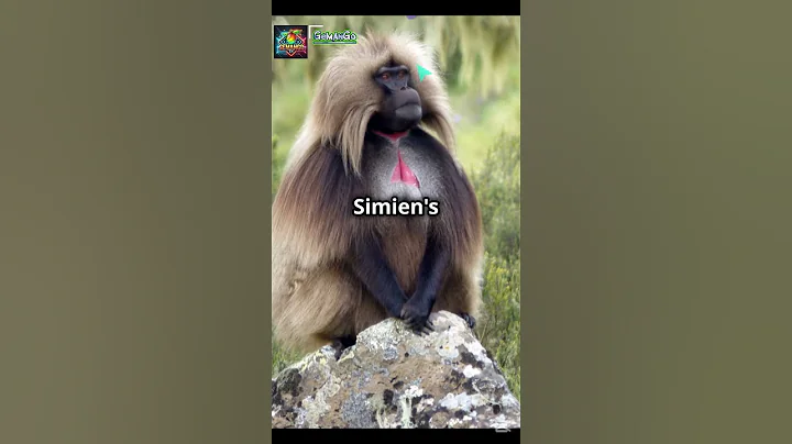 🚀 Top Must Visit Places in Ethiopia! 🇪🇹✨2025