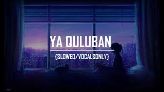 Ya Quluban - Abdulla AlSinani | Vocals Only + Translation | Slowed | Hashnooor