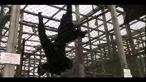 Teachers TV- EYFS Teaching and Learning- Literacy