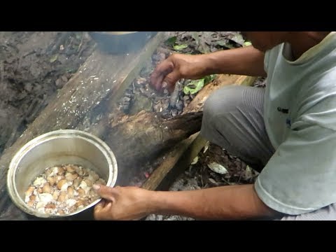 What How To Cook Everything Amazon