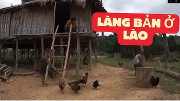 SỐC VỚI CUỘC SỐNG NGƯỜI KHƠ MÚ & H’MÔNG VÙNG RỪNG SÂU PHONGSALY – NHƯ THỜI TIỀN SỬ