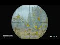 DayZ 2025 11 13   14 24 51 04 DVR