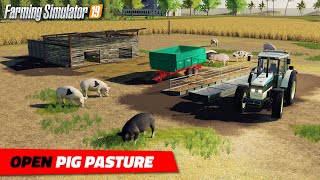 FS19 | Open Pig Pasture - review FS19 | Open Pig Pasture - review