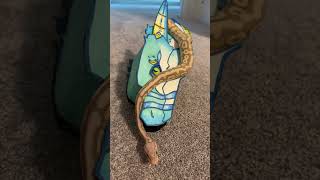 So cute #dragonpuppets T #fypシ゚viral #snake #ballpython #dragon