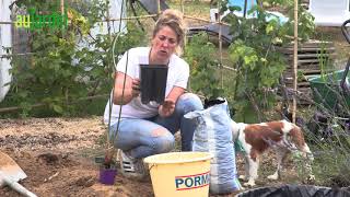 Comment Concevoir Un Petit Bassin Au Jardin ?