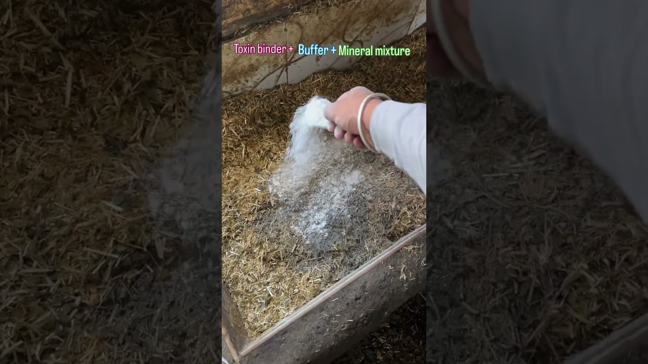 Toxic binder, buffer, mineral mixture 