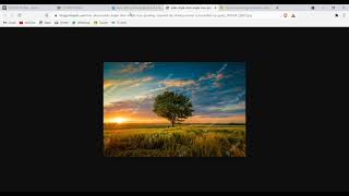 Introduction to CSS Box Model | CCBP 4.0 | Nxtwave