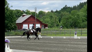 SOLD - Cellini Training Test 3
