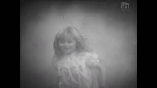 Beanos Jack And The Beanstalk