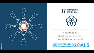 Sustainable Development Goal 17 (SDG17) - Partnerships for the Goals by Articulating Science