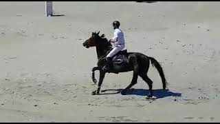 Upsillon d'Elle - 8ème place GP145 NHS 2018