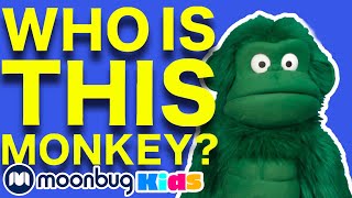 Learn Colours with Green Monkey - Funky Monkey Band | Puppet Videos For Children | Moonbug Kids