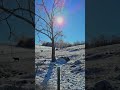 #SWVA #Winter