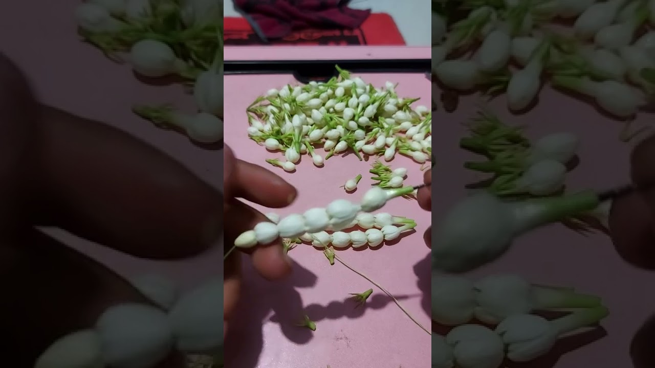 totorial cara merangkai kalung melati