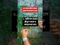 স্ত্রীর অন্তরে প্রকৃত ভালোবাসা❤️ #husbandlove #husbandandwifestory #husbandandwifeshorts #motivation