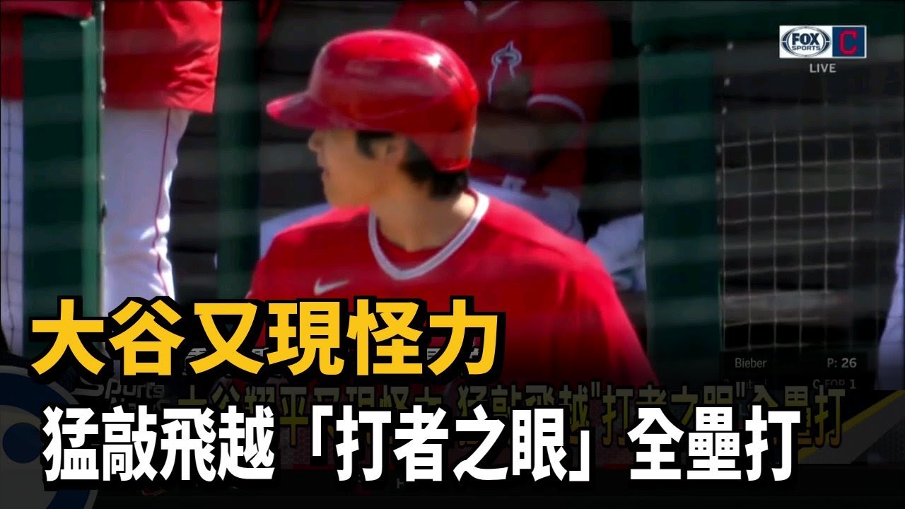 å¤§è°·ç¿