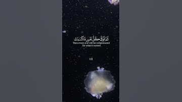 وَاتَّقُوا يَوْمًا تُرْجَعُونَ فِيهِ إِلَى اللَّهِ ۖ  #سورة_البقرة #القرآن_الكريم #تلاوة_خاشعة