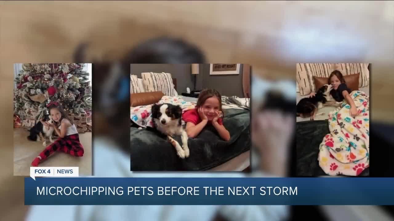 Microchipping pets to prepare for Hurricane Season - YouTube