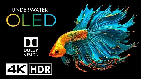 4K Ultra HD Dolby Vision Underwater OLED  HDR