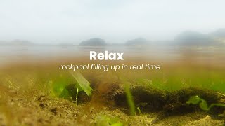 Relax watching the tide fill up rockpool in real time
