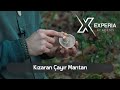 Yenebilir Mantar Türleri : Kızaran Çayır Mantarı ( Agaricus silvaticus ) / Yabani Mantarlar