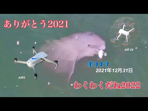 2021年12月31日リアルポコからのご挨拶