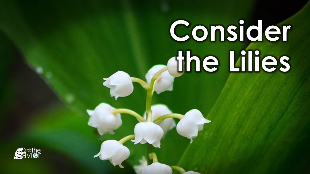 Consider the Lilies YouTube