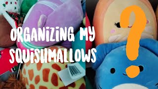 organizing my squishmallows 😱