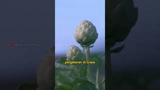 screenshot of the youtube video