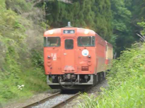 国鉄キハ40系2両編成(首都圏色+一般気動車色)烏山線 仁井田駅付近通過