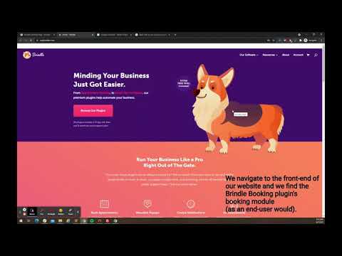 Brindle Booking Google Calendar Integration Demonstration