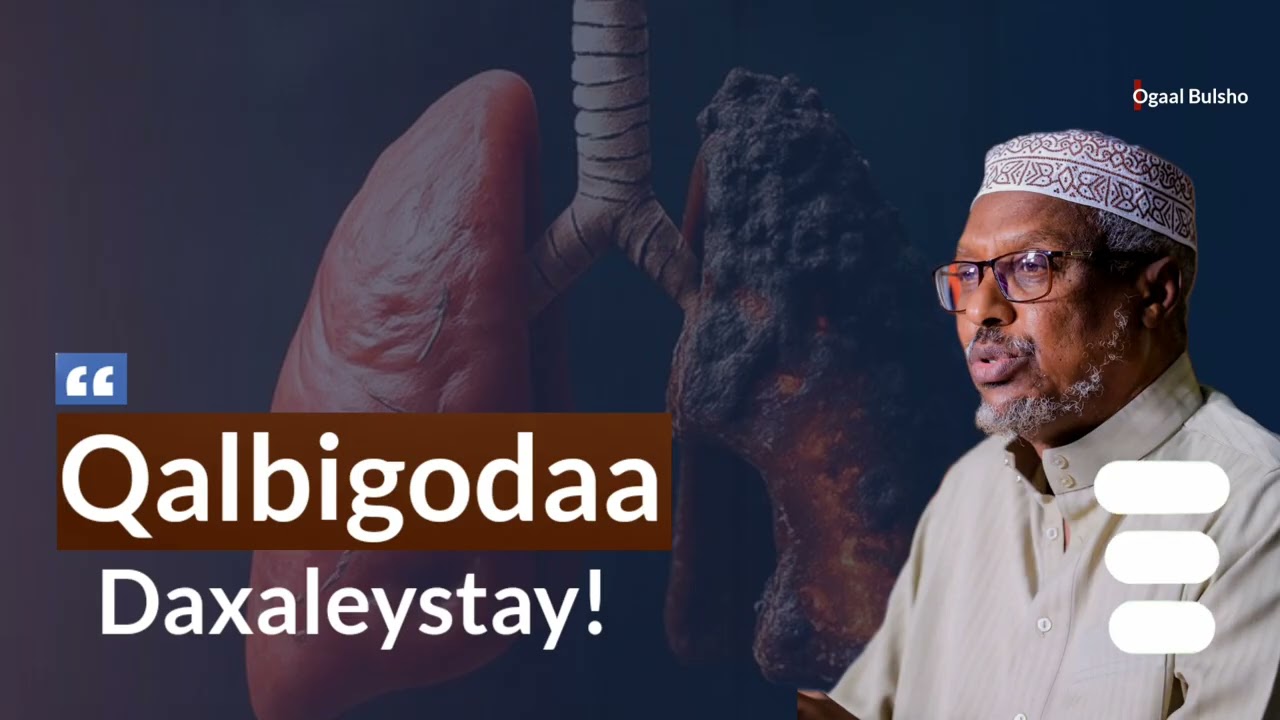 Dadka badh qalbigoodu daxaleystay! Muxaadaro 100% Qalbigaaga raadku reebi doonta || Sheekh Mustafe