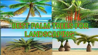 Top 10 Palms for Landscape | Trending Palms for Landscaping