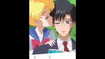 Do you think usagi/sailor moon should stay with mamoru/Tuxedo mask or be with....