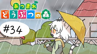【 あつまれどうぶつの森 】そろそろ島クリに本腰入れないと今年中に島が完成しない気がする #34【白瀧炬燵/One Lyric】