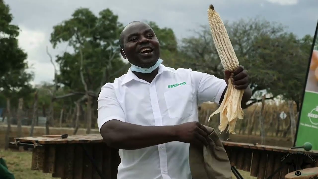 Mushangwe Feedlot  Farm Day 2022