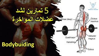 5 تمارين لشد عضلات المواخرة وازالة ترهلات | Bodybuilding