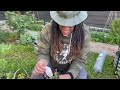 Spring Plant Haul: Part 3 — BlackHawk Garden Center