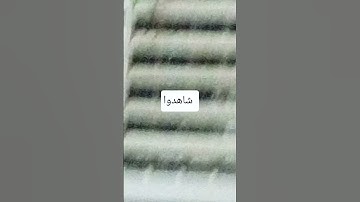 سورة الإخلاص #سورة_الإخلاص #egzonibrahimi #اكسبلور #قرآن #ikhlas #القزابري #ايقنت #المصحف #لايك