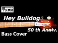 Hey Bulldog  (The Beatles - Bass Cover) 50th Anniversary