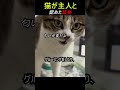 猫が主人と認めた証拠