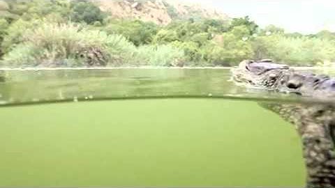 All-New Range Rover Sport - Single