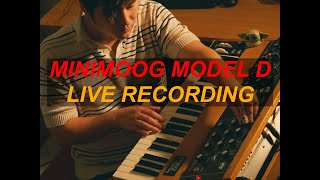 Live Recording on Minimoog Model D (Song Hello Sky)