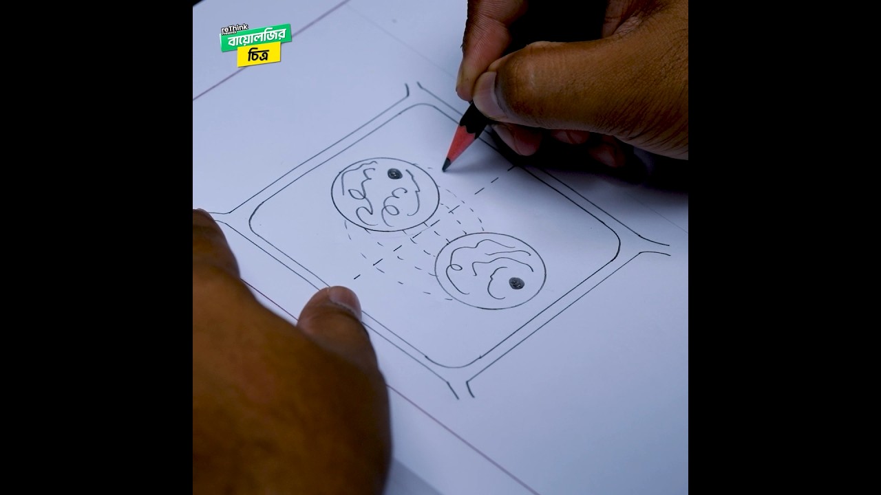 টেলোফেজ চিত্র আঁকো ১ মিনিটে || SSC Biology Exam Special || rethink