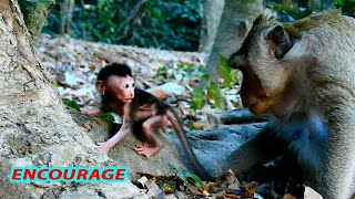 ENCOURAGE ...!! LISTEN SOFT SPEAK MOM MADDIE TALK TO BABY LEARN WALK ... screenshot 4