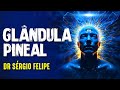 Glndula pineal e seus segredos   dr srgio felipe paranormal experience  257